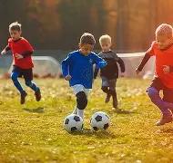 乐鱼体育,产品,乐鱼体育官网,乐鱼体育官网,乐鱼体育直播,体育赛事直播,足球直播