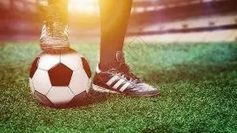 乐鱼体育 资讯 100233 vd9