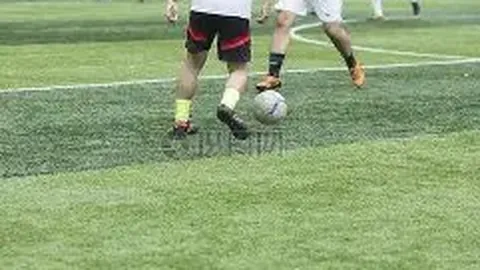 乐鱼体育 产品 100253 29p