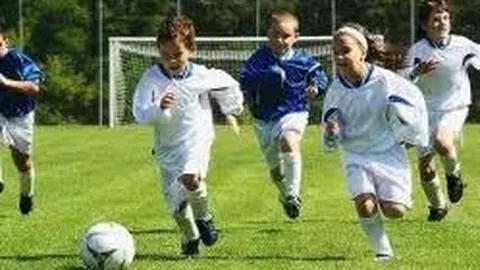 乐鱼体育 资讯 100459 o0c