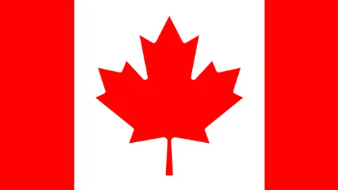 《库库雷利亚华丽逆袭：从质疑声场到全场喝彩，他用实力与均衡书写新篇章》