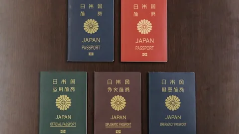 乐鱼体育 资讯 090743 0yl